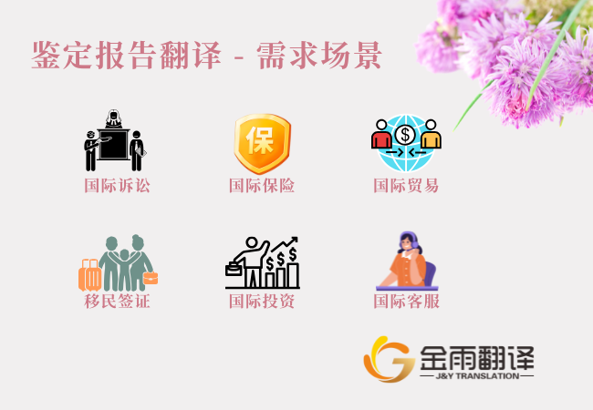 鉴定报告翻译 - 需求场景