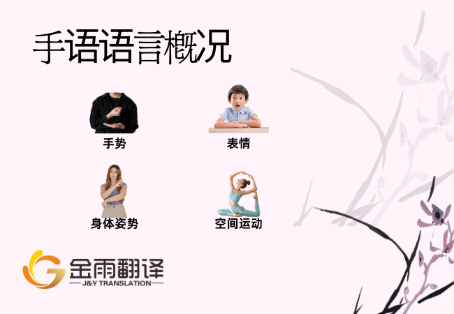 手语语言概况