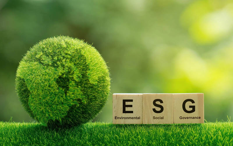 跨越语言的ESG之路：ESG报告翻译的重要性与挑战