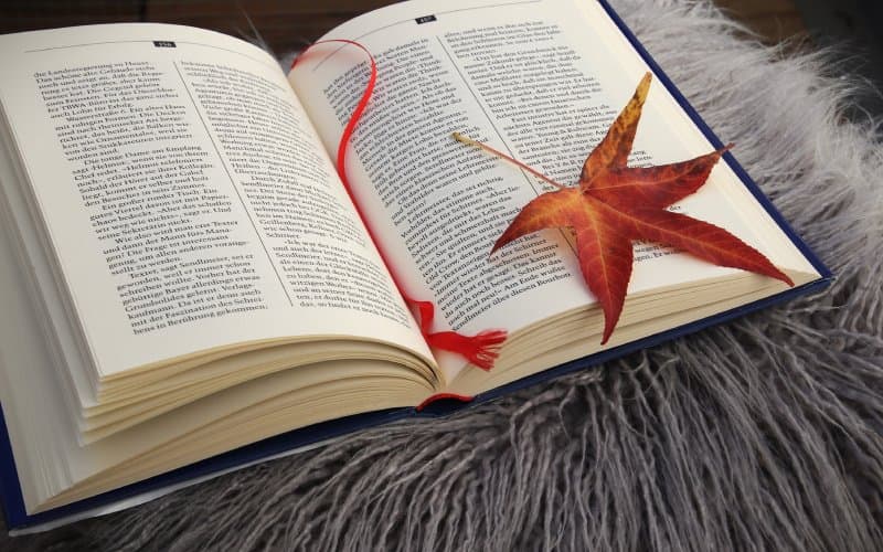 如何快速背英语课文-封面